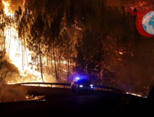 Portekiz Orman Yangınları: Mücadele ve Can Kaybı Artıyor