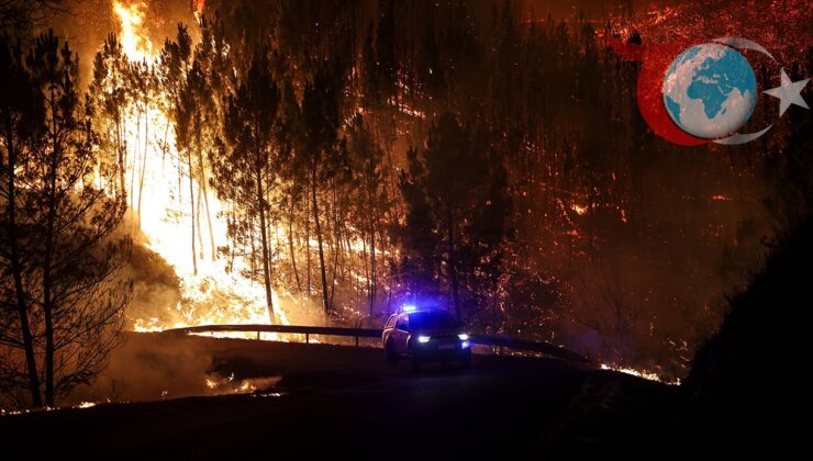 Portekiz Orman Yangınları: Mücadele ve Can Kaybı Artıyor
