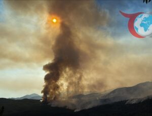 Portekiz ve İspanya’da Tehlike Çanları: Yüksek Sıcaklıklar ve Orman Yangınları