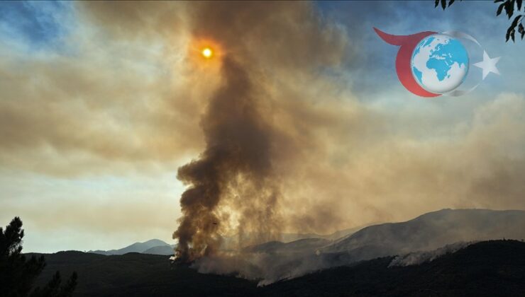 Portekiz ve İspanya’da Tehlike Çanları: Yüksek Sıcaklıklar ve Orman Yangınları