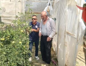 Seralarda Bitki Sağlığı İçin Yerinde İnceleme