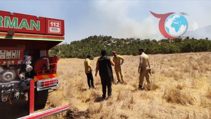 Şırnak’ta Orman Yangını: Ekipler Hızla Müdahale Ediyor