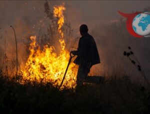 Sofya’da Devam Eden Büyük Yangın Tehlike Yaratıyor