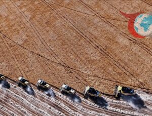 Tarımda Maliyet Artışları: TÜİK Verilerine Göre Endişe Veren Yükseliş