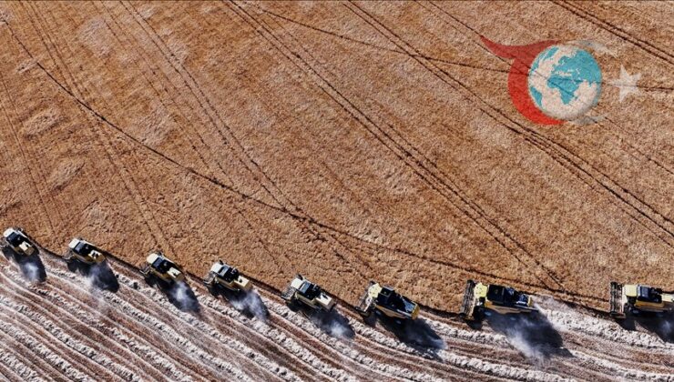 Tarımda Maliyet Artışları: TÜİK Verilerine Göre Endişe Veren Yükseliş