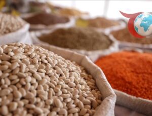 Türk Hububat Sektörünün İhracatındaki Yükseliş ve Yeni Pazar Stratejileri