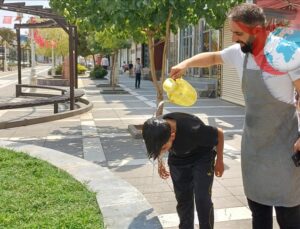 Türkiye Genelinde Sıcaklıklar Artıyor: Haftalık Hava Durumu Tahminleri