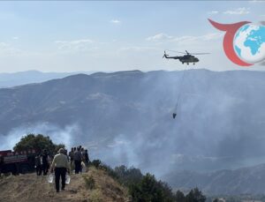 Türkiye’nin Üç İlinde Orman Yangınları Kontrol Altına Alındı