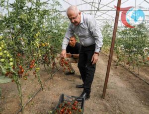 Van Büyükşehir Belediyesi’nden Ata Tohumlarıyla Gelen Lezzet
