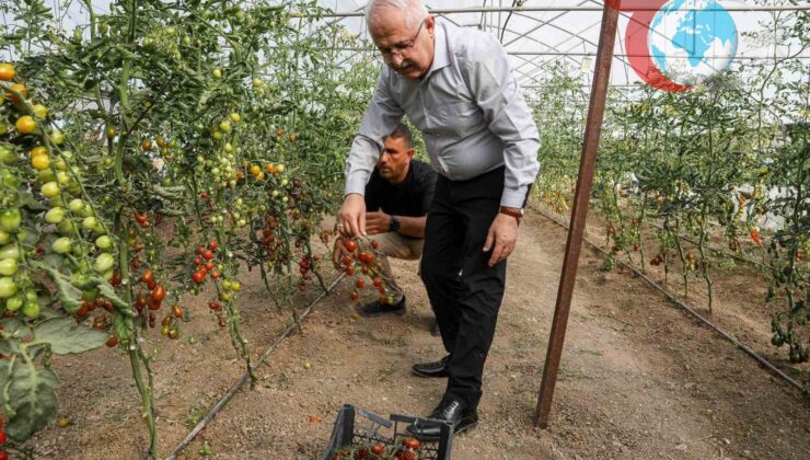 Van Büyükşehir Belediyesi’nden Ata Tohumlarıyla Gelen Lezzet