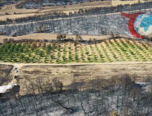 Yangınlar Çanakkale’de Tarım Alanlarını Tehdit Etti