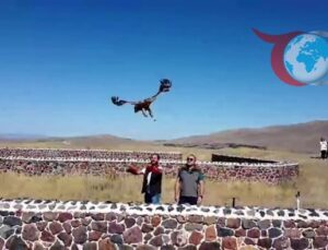 Yeniden Doğaya Dönüş: Kızıl Şahin’in Sağlığına Kavuşma Hikayesi