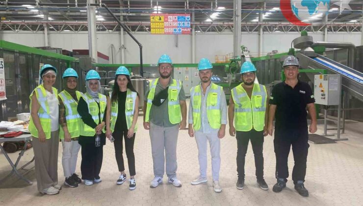 Zeytinyağı Üretim Operatörleri İçin Aydın’da Mesleki Yeterlilik Sınavı Devam Ediyor