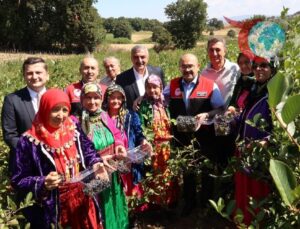 Balıkesir Aronya Hasadı ve Yükselişi: Yeni Doğanın Süper Meyvesi