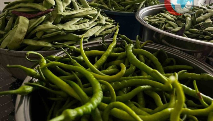 Bayburt’un Geleneksel Sofralarında Kış Hazırlıkları: Pazı ve Fasulye Turşusu