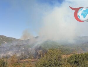 Burdur’un Mamak Köyünde Orman Yangını: Müdahale Çalışmaları Devam Ediyor