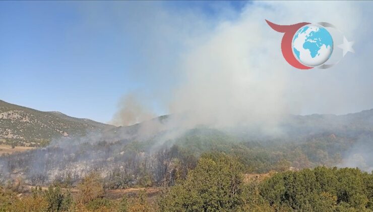 Burdur’un Mamak Köyünde Orman Yangını: Müdahale Çalışmaları Devam Ediyor