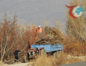 Erzincan’da Kış Hazırlıkları Hız Kazandı: Köy Sakinleri Isınma Çaresi Arıyor