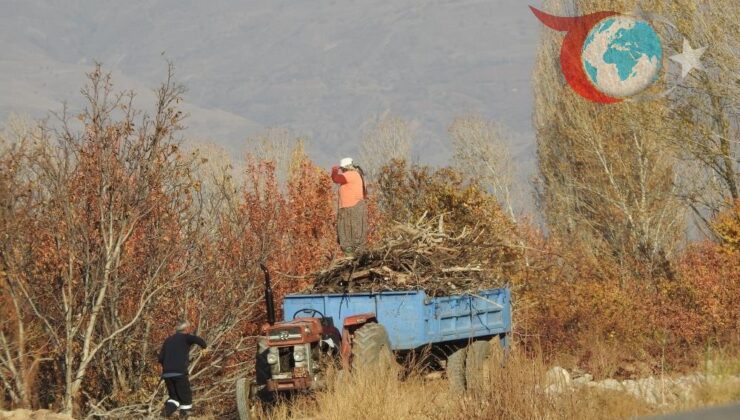 Erzincan’da Kış Hazırlıkları Hız Kazandı: Köy Sakinleri Isınma Çaresi Arıyor