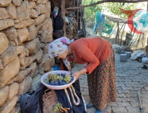 Erzincan’ın Kemaliye Köylerinde Kışa Hazırlık: Meyve Kurutma Geleneği