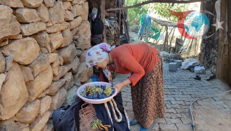 Erzincan’ın Kemaliye Köylerinde Kışa Hazırlık: Meyve Kurutma Geleneği