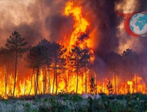 Fransa 1900’den Bu Yana En Sıcak Üçüncü Yazını Yaşadı
