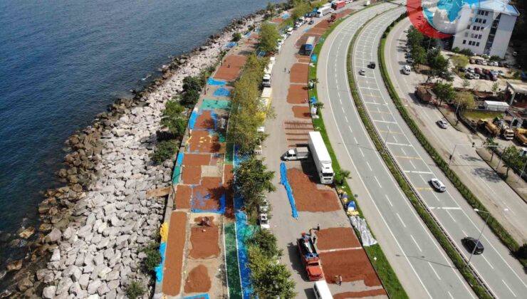 Giresun’da Fındık Üreticilerinin Zorlu Kurutma Süreci
