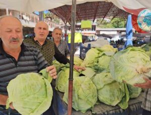 Gökyar Lahanası: Doğallığı ve Lezzetiyle Darende’nin Gururu