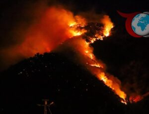 Hakkari’de Orman Yangını: Ekipler Seferber Oldu
