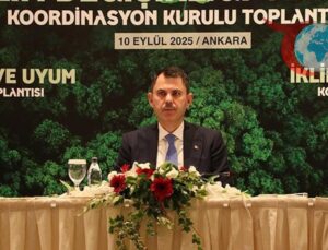 İklim Krizinin Ciddi Etkileri ve Türkiye’nin Alınan Önlemler