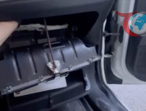 İstanbul’da Narkotik Operasyonu: Gizli Düzenekte Uyuşturucu Ele Geçirildi