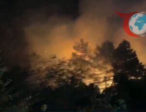 İstanbul’un Rüzgarlıbahçe Mahallesi’nde Orman Yangını Paniğe Neden Oldu