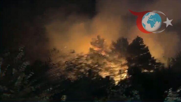 İstanbul’un Rüzgarlıbahçe Mahallesi’nde Orman Yangını Paniğe Neden Oldu