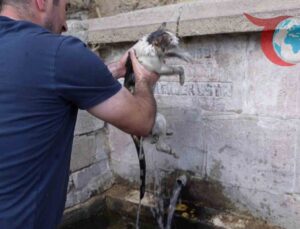 Kahraman Köylüden Yangında Can Pazarı: Kediyi Alevlerin Arasından Kurtardı