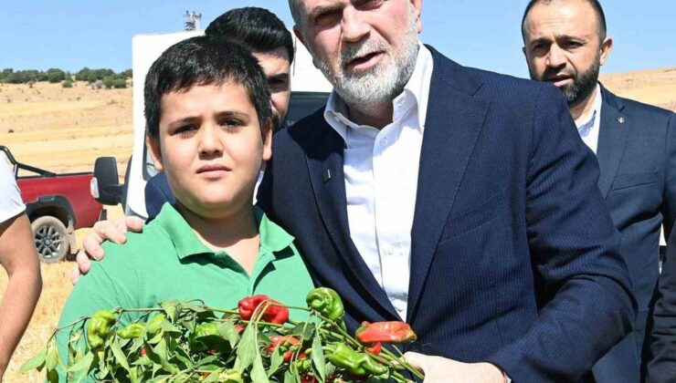 Kahramanmaraş’ta Maraş Biberi Üretimi ve İhracatı Artıyor