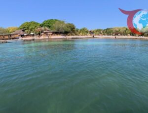 Kanal D’nin Yeni Macerası: Kuralsız Sokaklar Dünya Turu