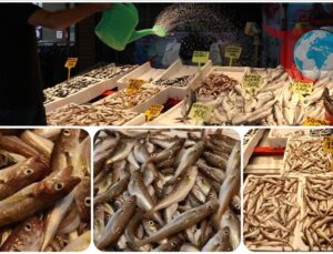 Karadeniz Tezgahlarında Hamsi Bereketi Beklentisi