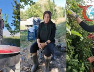 Kendi İşinin Patronu Olan Kadın Girişimci Zeynep Ciminli’nin Seracılık Başarısı