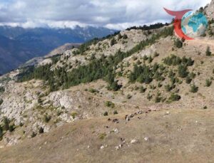 Kırsalda Yazılan Bir Başarı Hikayesi: Said Tüfekçi