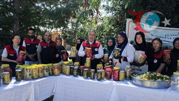 Kırsaldaki Kadınlara Tarımsal Yeniliklerle Güçlendiren Proje