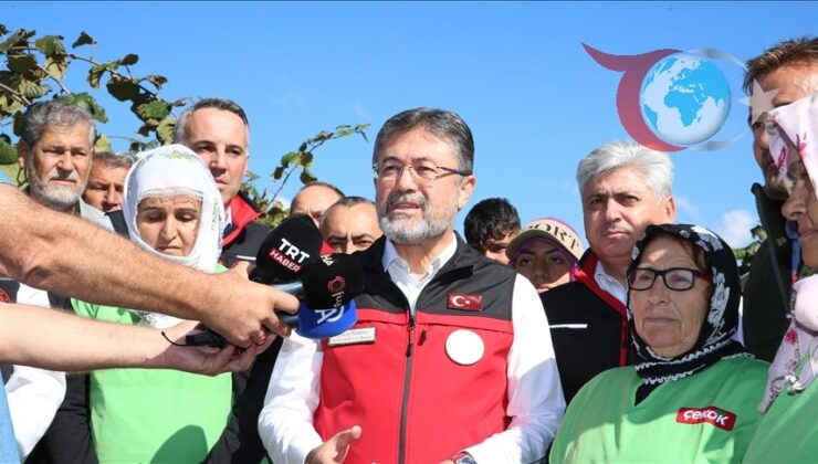 Kivi Üretiminde Yeni Hedefler ve Tarımın Geleceği