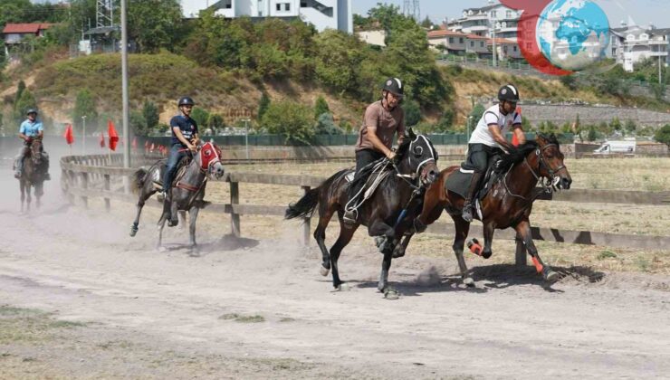 Kocaeli’de Rahvan At Yarışları: Tarihi Miras Yarış Pistinde Canlandı