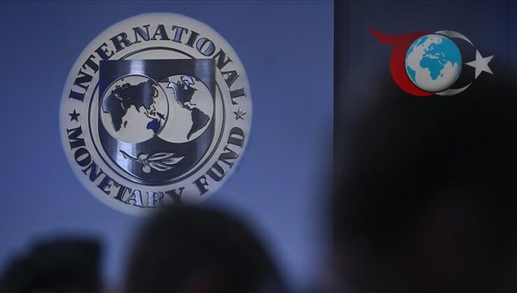 Küresel Borç Krizi: Özel ve Kamu Sektörü Dinamikleri