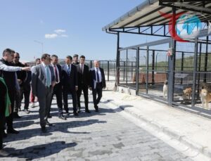 Kütahya’da Sokak Hayvanları İçin Yeni Barınak Tamamlandı