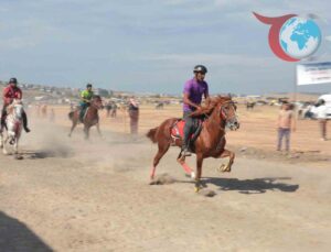 Menemen’de 11. Rahvan At Yarışları: Gelenekten Geleceğe Bir Yolculuk