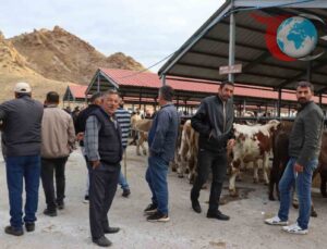 Oltu’nun Canlı Hayvan Pazarı Yeniden Faaliyette: Ekonomiye İvme Kazandırıyor