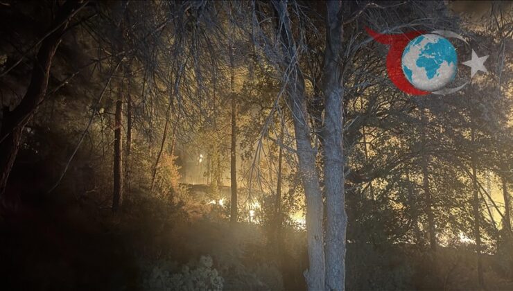 Orman Yangınlarıyla Mücadelede Gönüllülere Yönelik Yeni Düzenlemeler Yürürlüğe Girdi