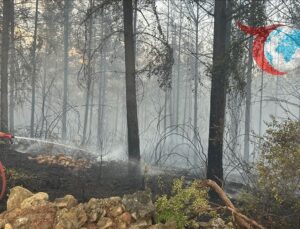 Osmaniye’de Orman Yangını Kontrol Altına Alındı
