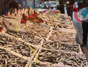 Rize’de Balık Sezonunun Bereketi Tezgahlara Yansıdı