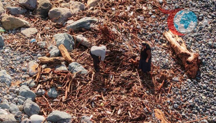 Rize’de Yağışların Ardından Sahile Vuran Odunlar Halkın Yüzünü Güldürdü